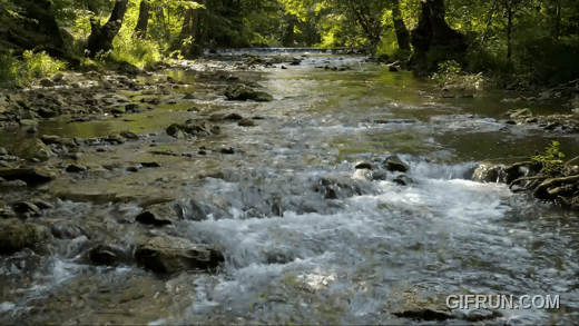 Forest_River__Stream_Sounds_for_Sleeping__No_Birds__Relax.gif__PID:ee0fa2a6-e92f-4f3f-a61d-e664c86ca2f8